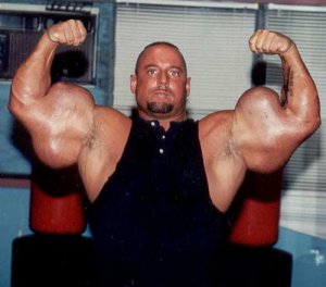 Synthol arms