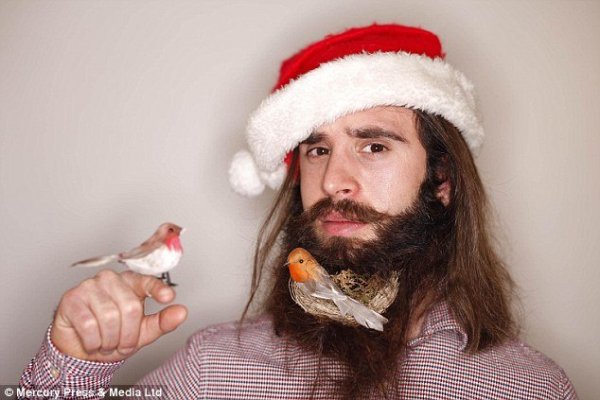 23F81BA900000578-2868265-image-a-1_1418310778069